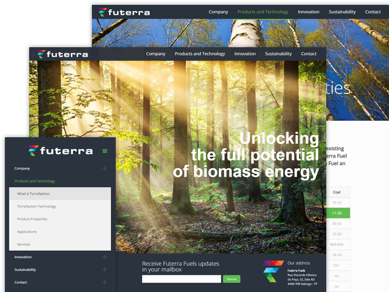 website image